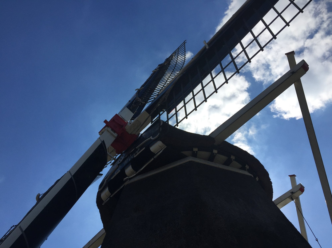 Molen de Weert-梅珀尔必去景点
