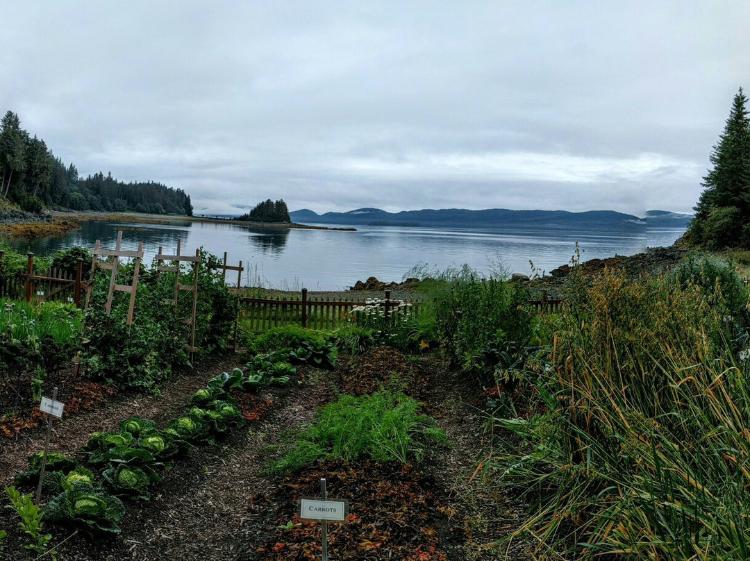 Jensen-Olson Arboretum-朱诺必去景点