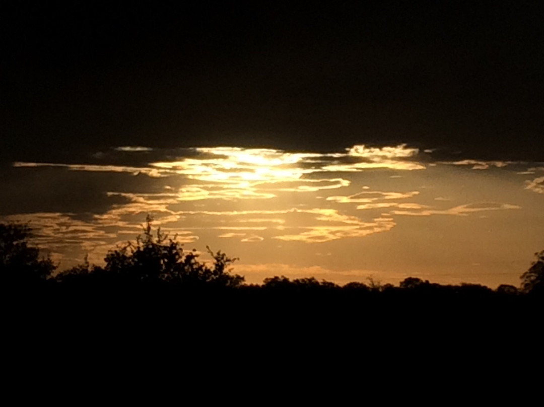 Not For Sissies Tours & Adventures-约翰内斯堡必去景点