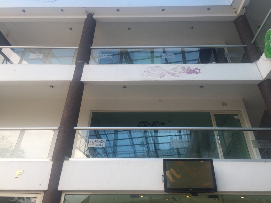 Hotel Plaza Elite主图