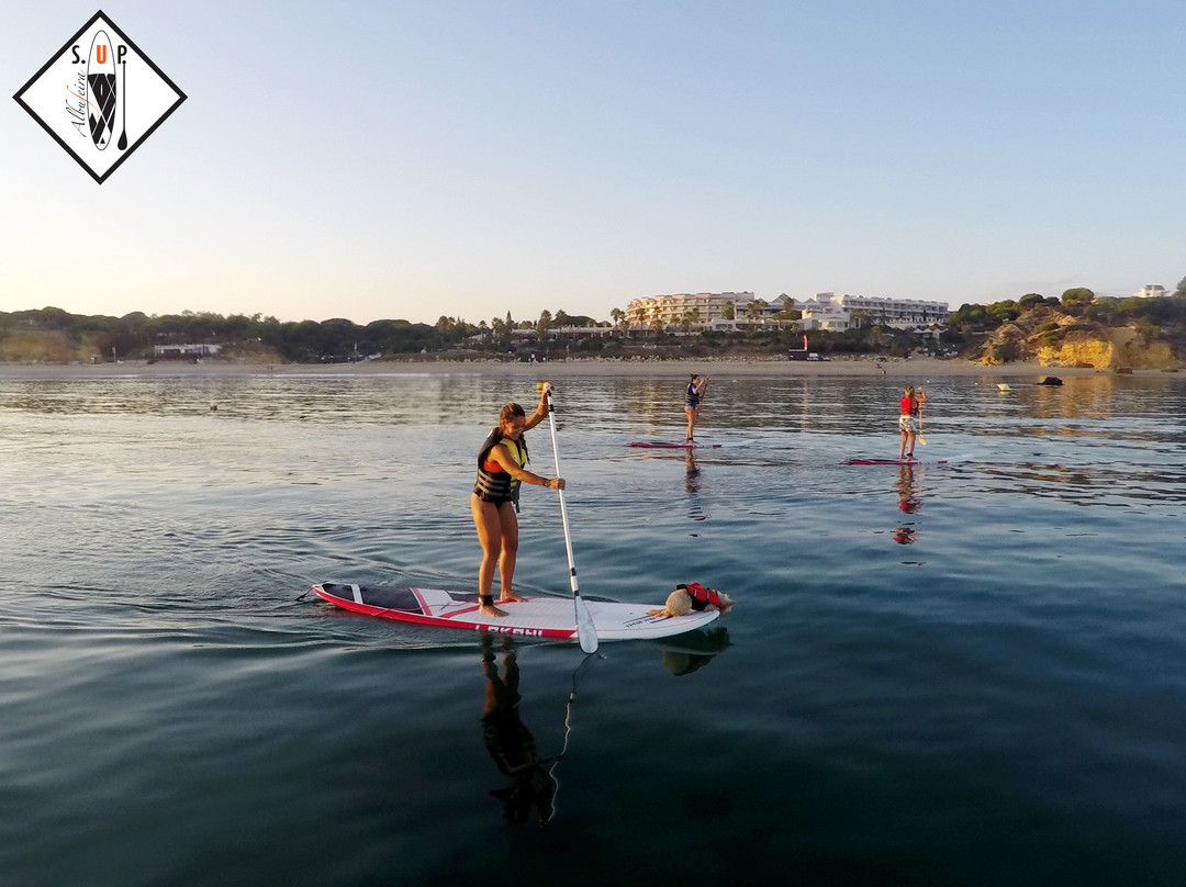 SUPA Sea Adventures-阿尔布赞拉必去景点
