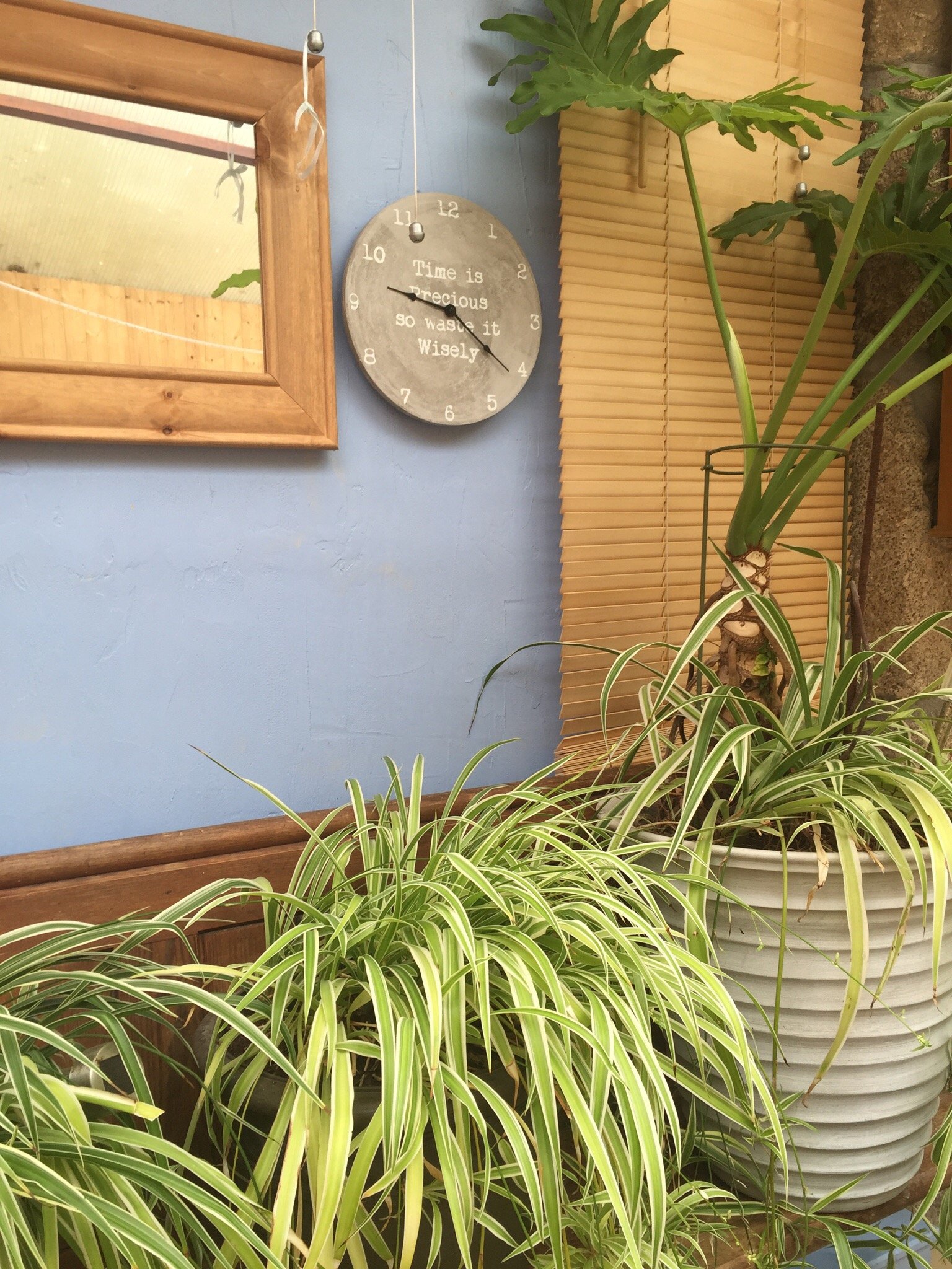 The Dry B&B-官方