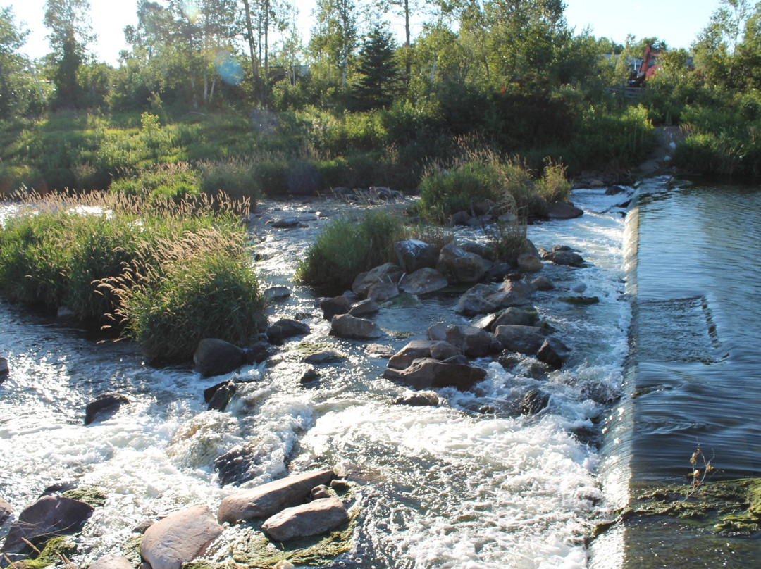 Fielding Bird Sanctuary-Sudbury必去景点