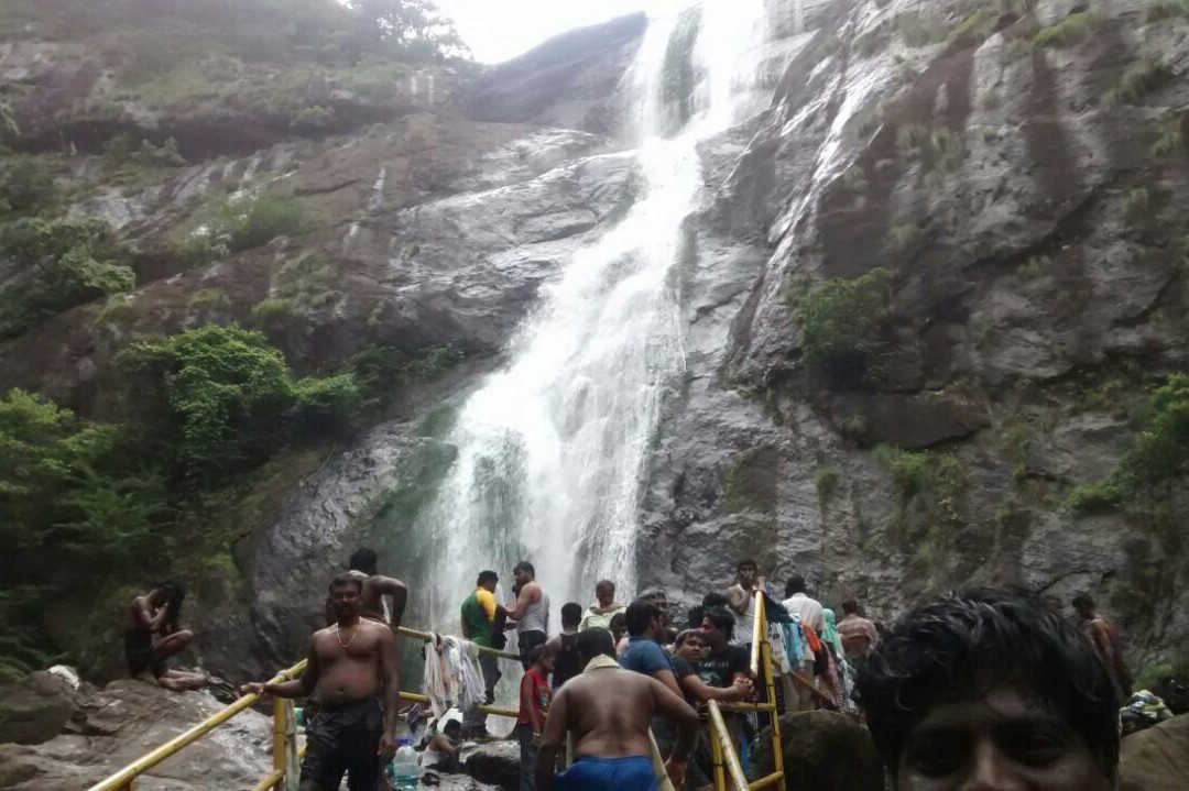 Kumbhavurutty Waterfalls景点图片