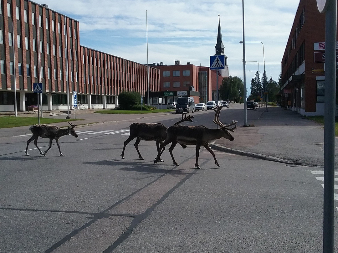 Visit Kemijärvi-Kemijarvi必去景点