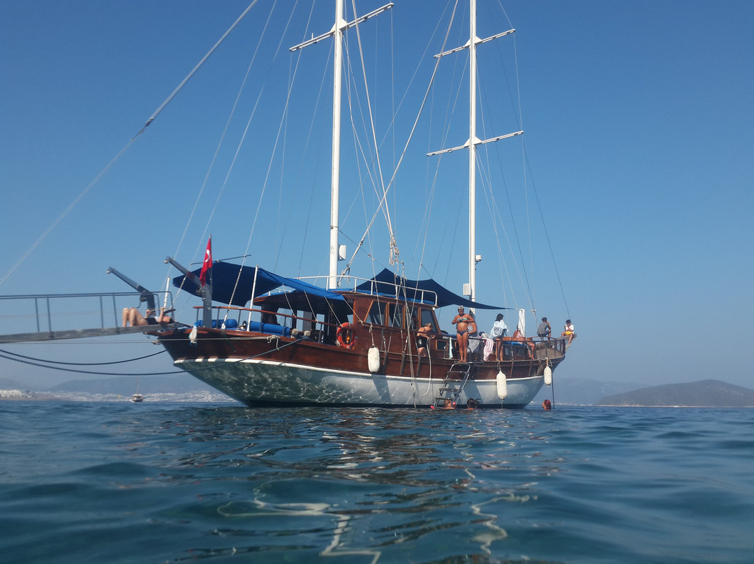 Serenity  Boat Trip景点图片