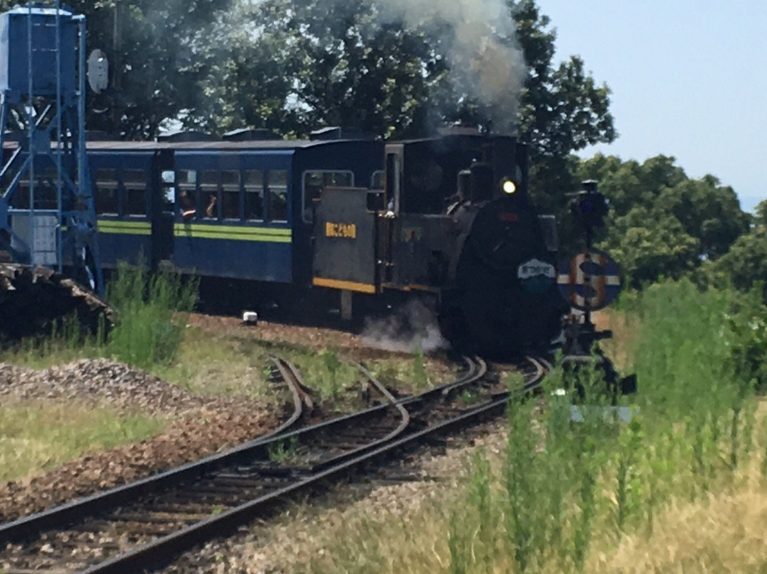 Aichi Kodomo no Kuni-西尾市必去景点