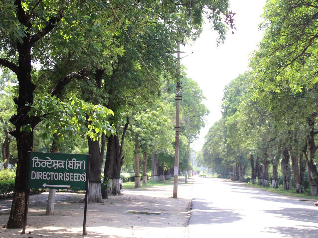Punjab Agricultural University Museum景点图片