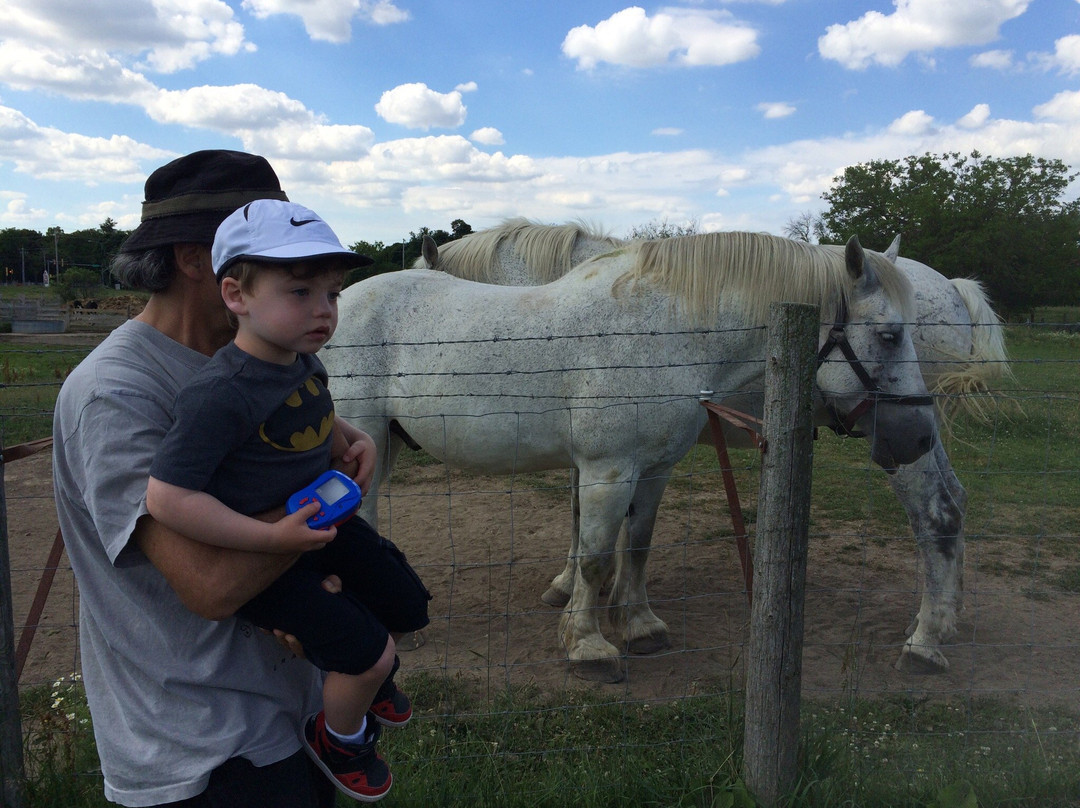 Historic Wagner Farm-格伦维尤必去景点