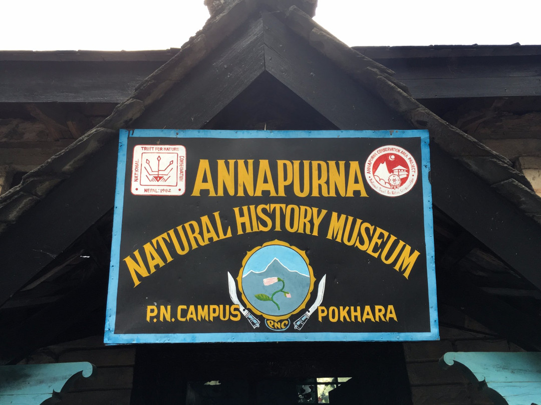 Annapurna Butterfly Museum-博卡拉必去景点