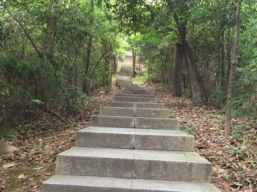 云碧峰森林公园-上饶市必去景点