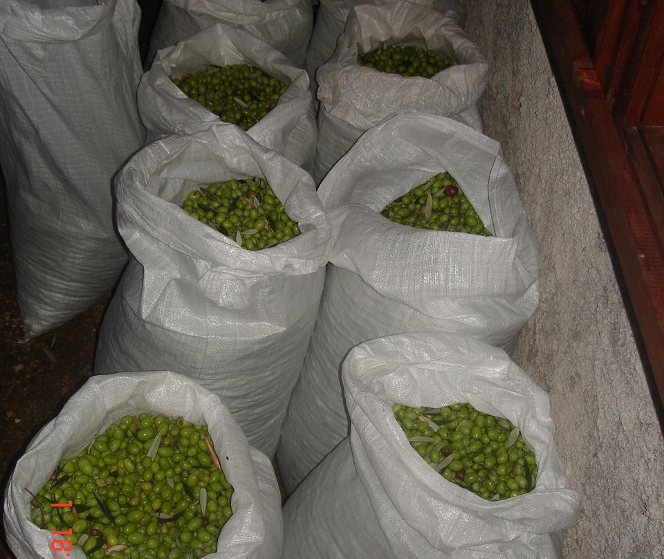 Buzuku Montenegro Olive Oil-乌尔齐尼必去景点