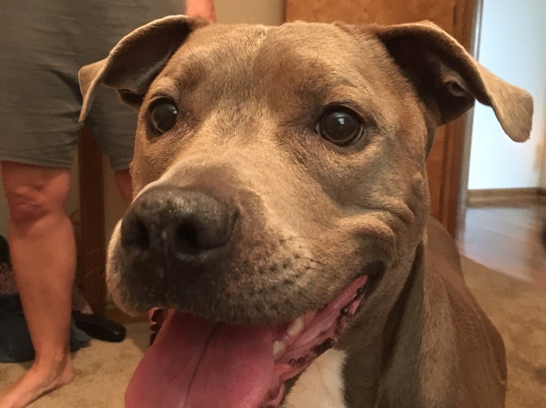 Redemption Escape Room-哥伦布必去景点