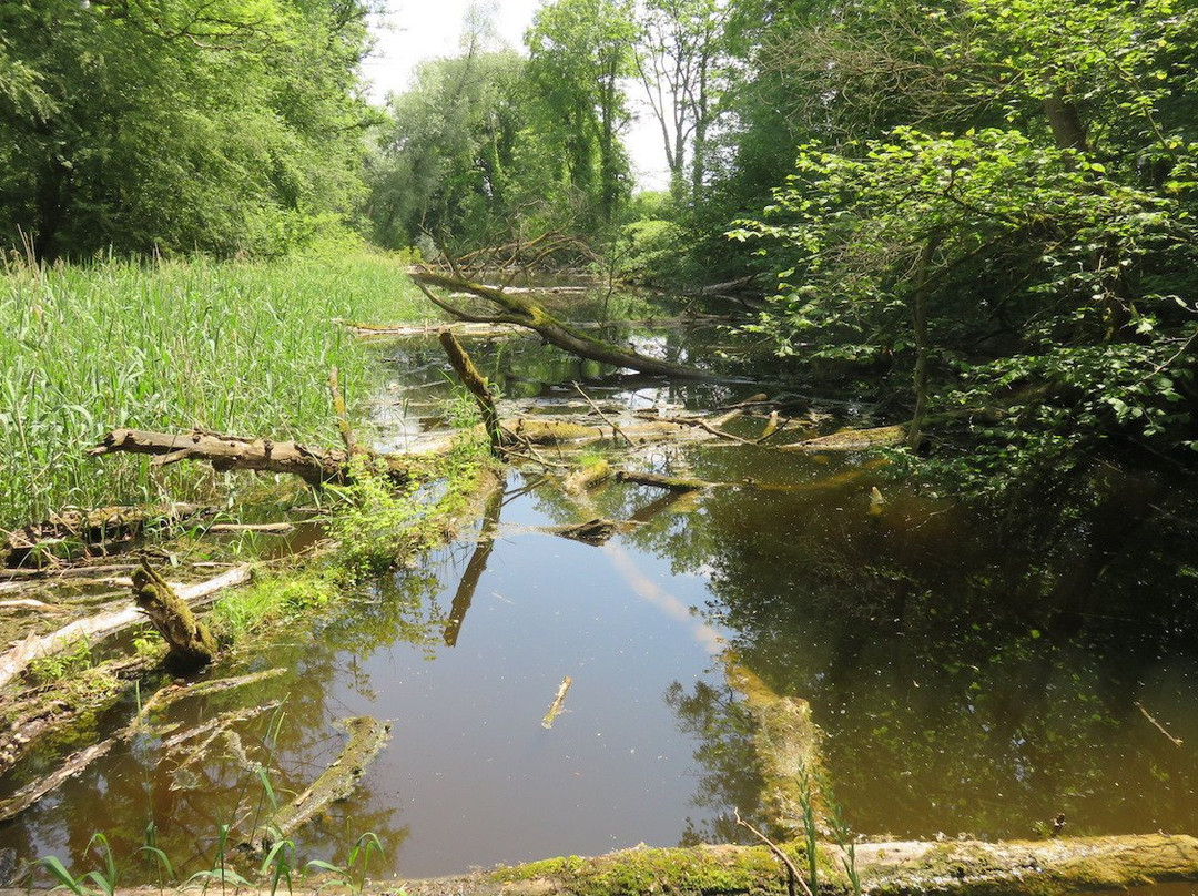 Naturzentrum Thurauen-Flaach必去景点
