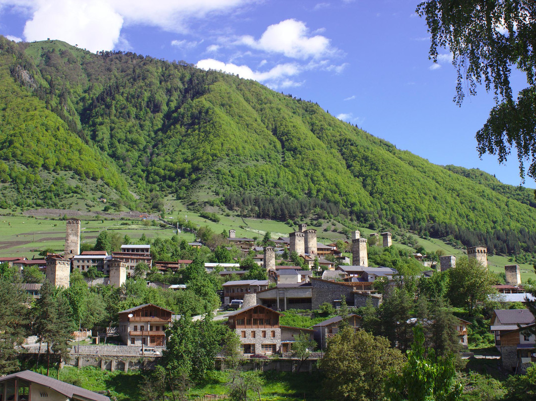 Mestia Panorama