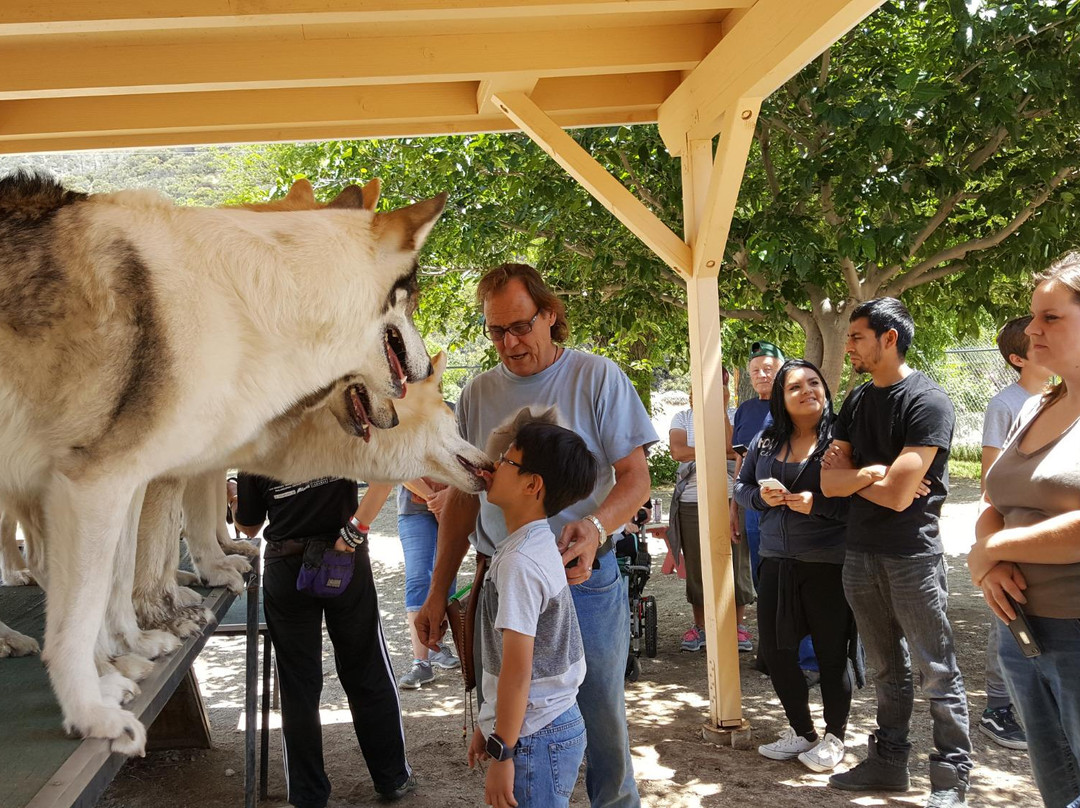 Shadowlands Foundation-Lake Hughes必去景点