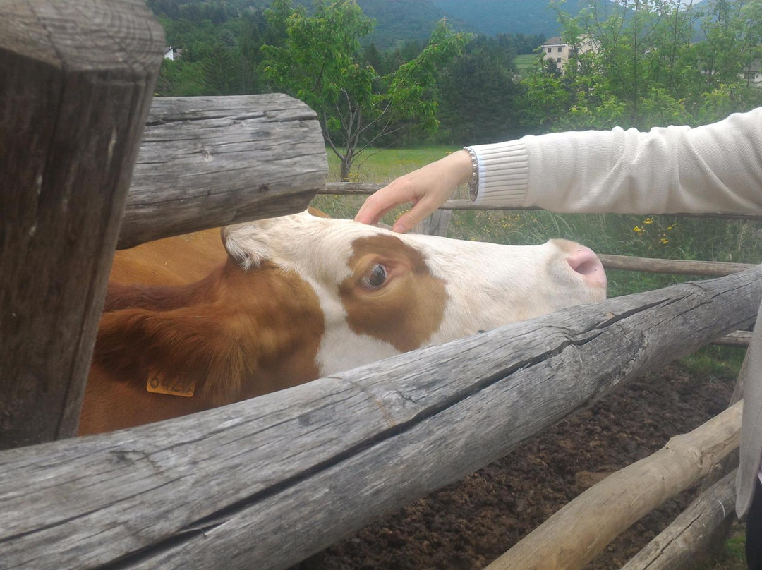 Azienda Agricola Brigne-Bardineto必去景点