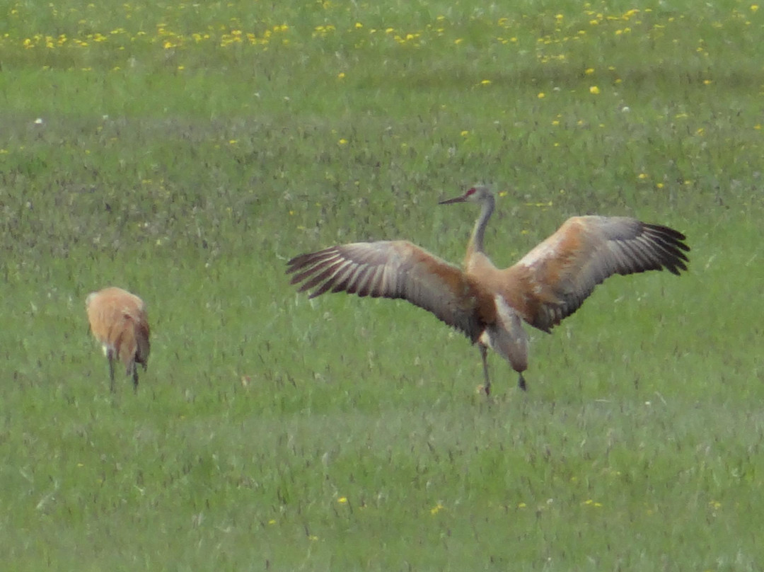 Deer Creek-希伯城必去景点