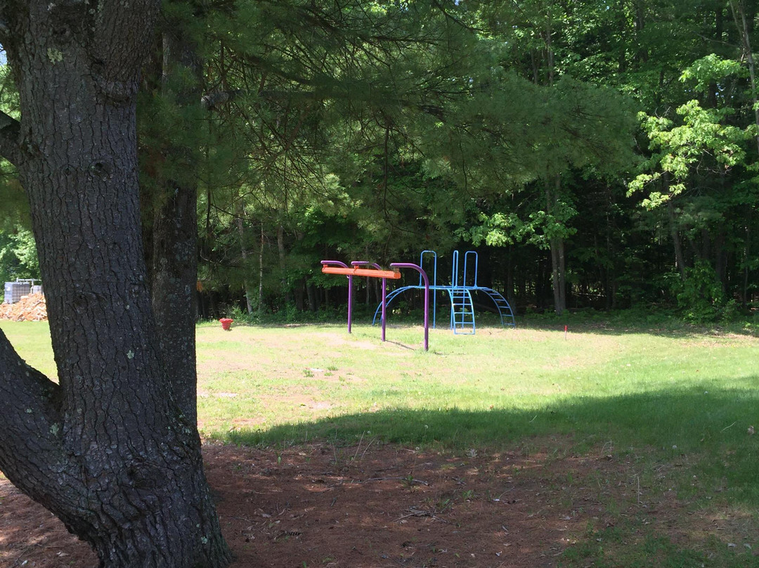 Saratoga Escape Lodges & RV Resort