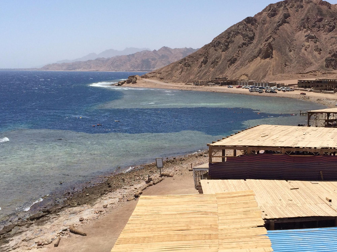 Alpha Dive Centre-斯特兰必去景点