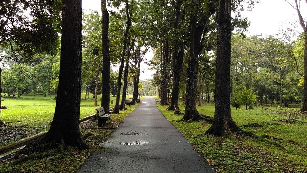 Kebun Raya Purwodadi-巴苏鲁安必去景点