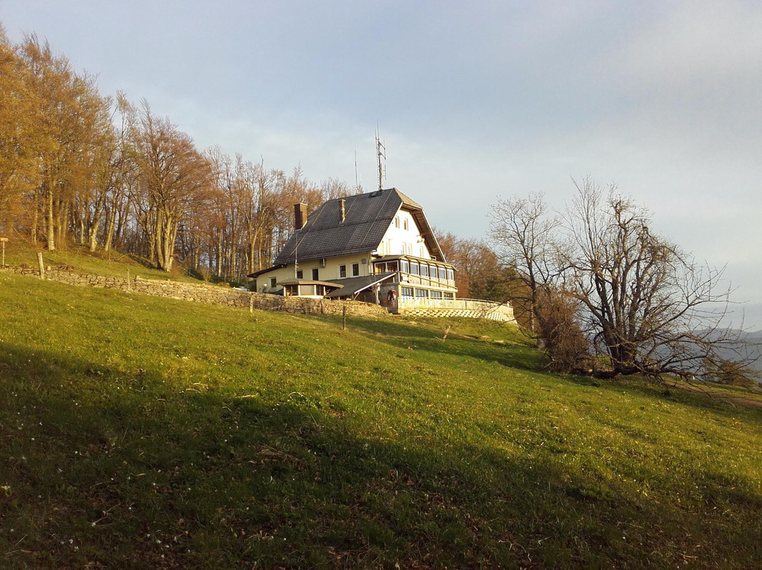 Mount Slivnica-Cerknica必去景点