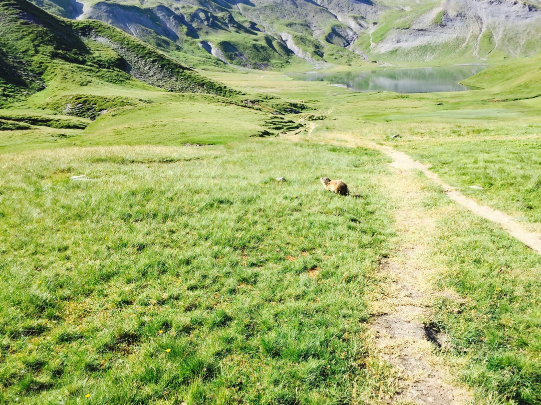 Lac d'Anterne景点图片