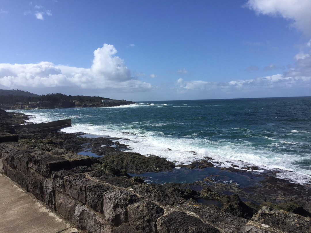 Whale Park-Depoe Bay必去景点