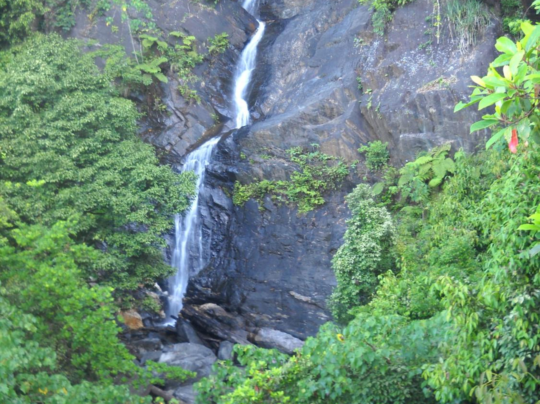 Kadambi Falls景点图片