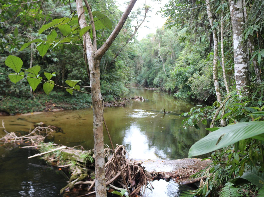 Nucleo Santa Virginia - Base Natividade da Serra