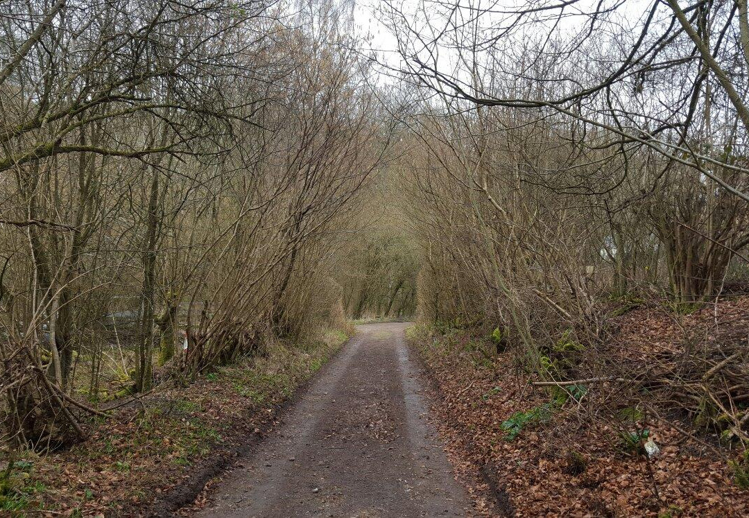 Warburg Nature Reserve景点图片