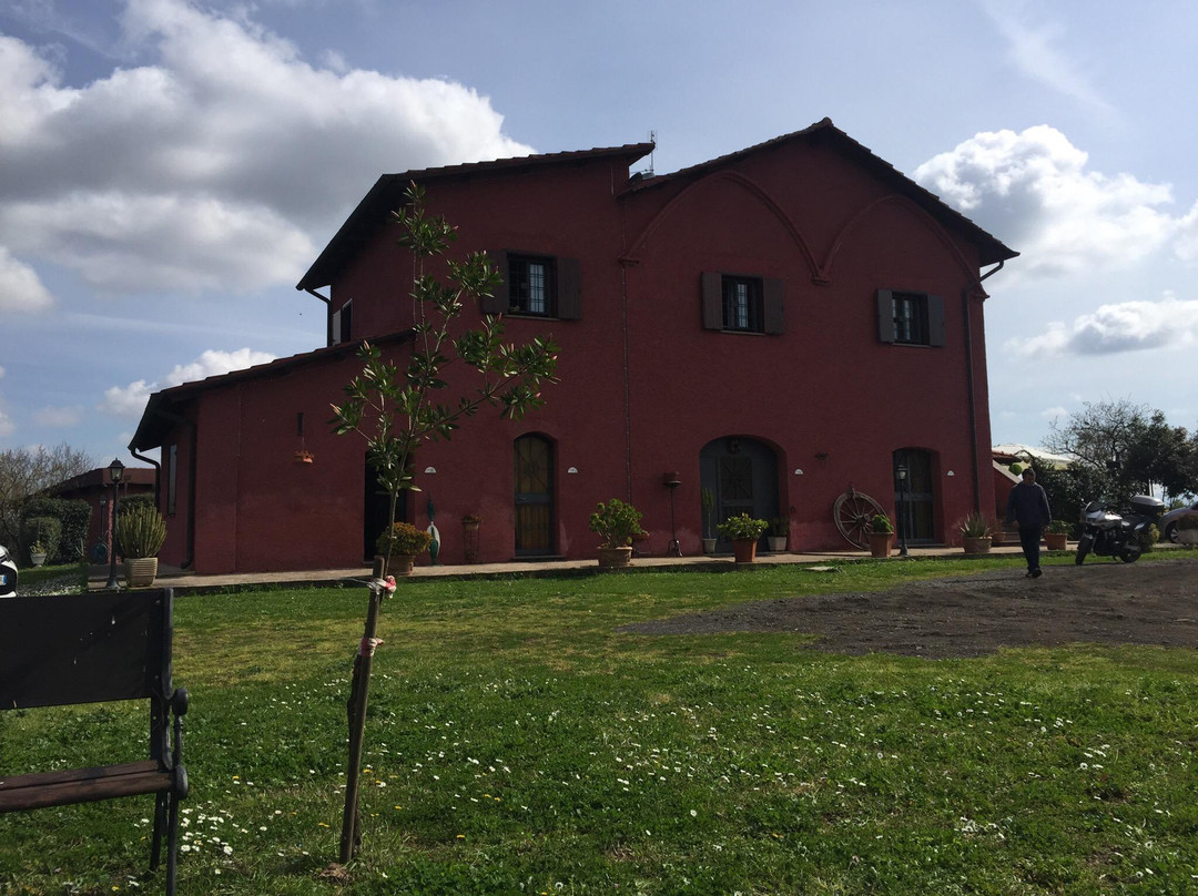 Il Casaletto酒店住宿-Il巴费托旅馆