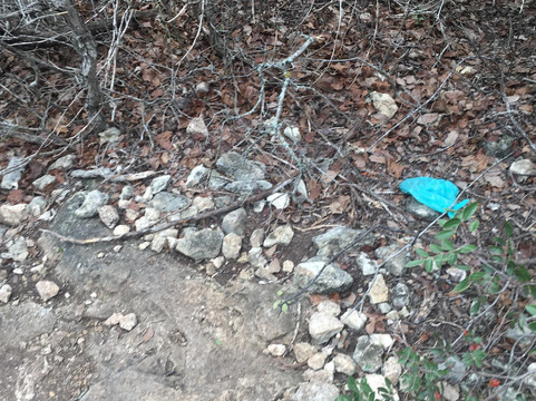 艾森豪威尔公园-圣安东尼奥市必去景点