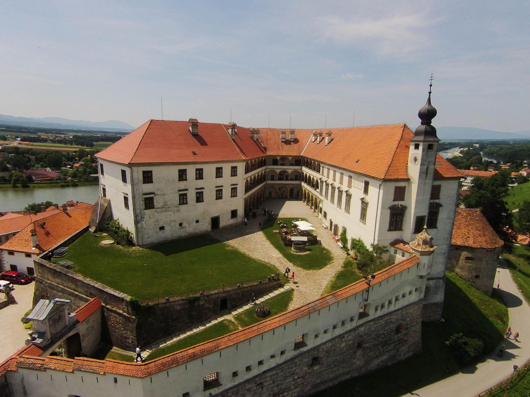 Ptuj Castle (Ptujski Grad)景点图片