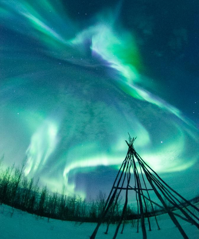 Wild Nordic Aurora Safari景点图片