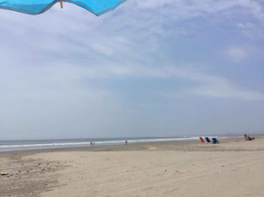 Playa Caleta Vidal-Puerto Supe必去景点