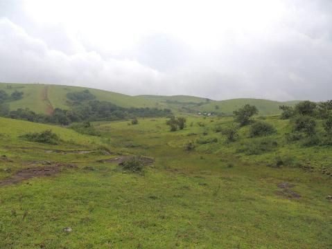 Vagamon Hills-官方