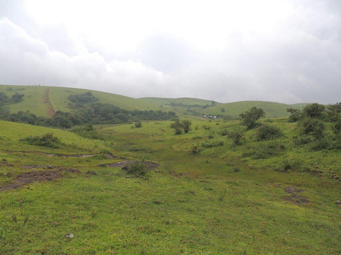 Ayyappancoil酒店住宿-Vagamon Hills