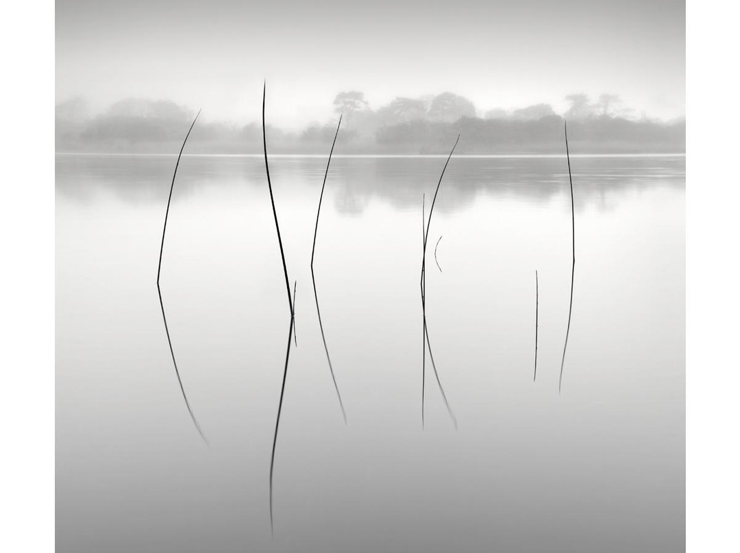 Rohan Reilly Photography-金塞尔必去景点