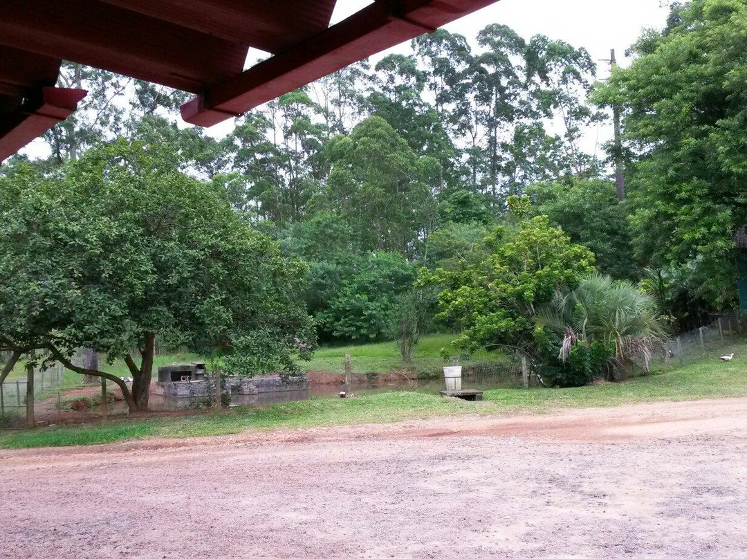 Shopping Pórtico-Criciuma必去景点