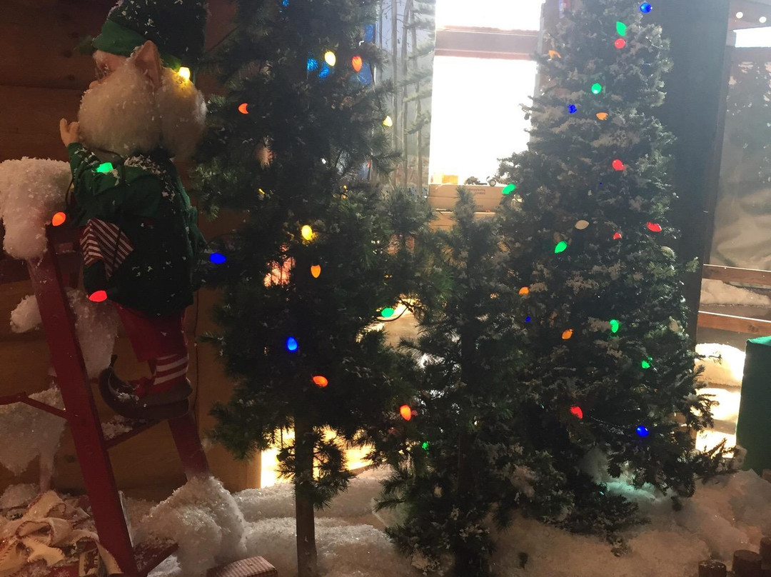 Bass Pro Shops-福克斯伯勒必去景点