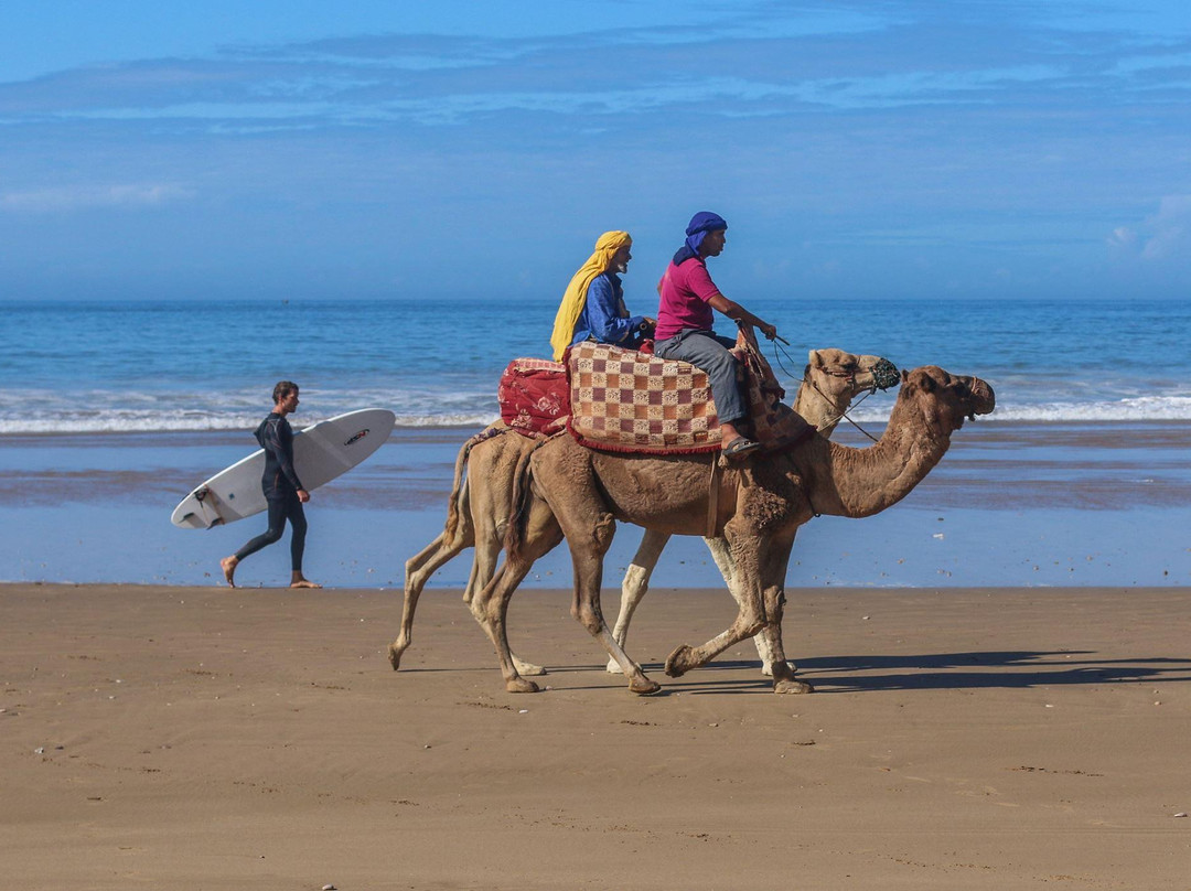 Abo Surf Morocco-阿加迪尔必去景点