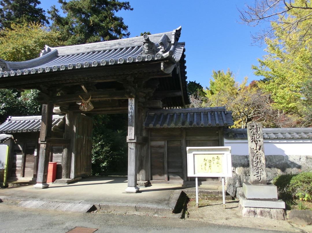 Kotaiji Temple景点图片