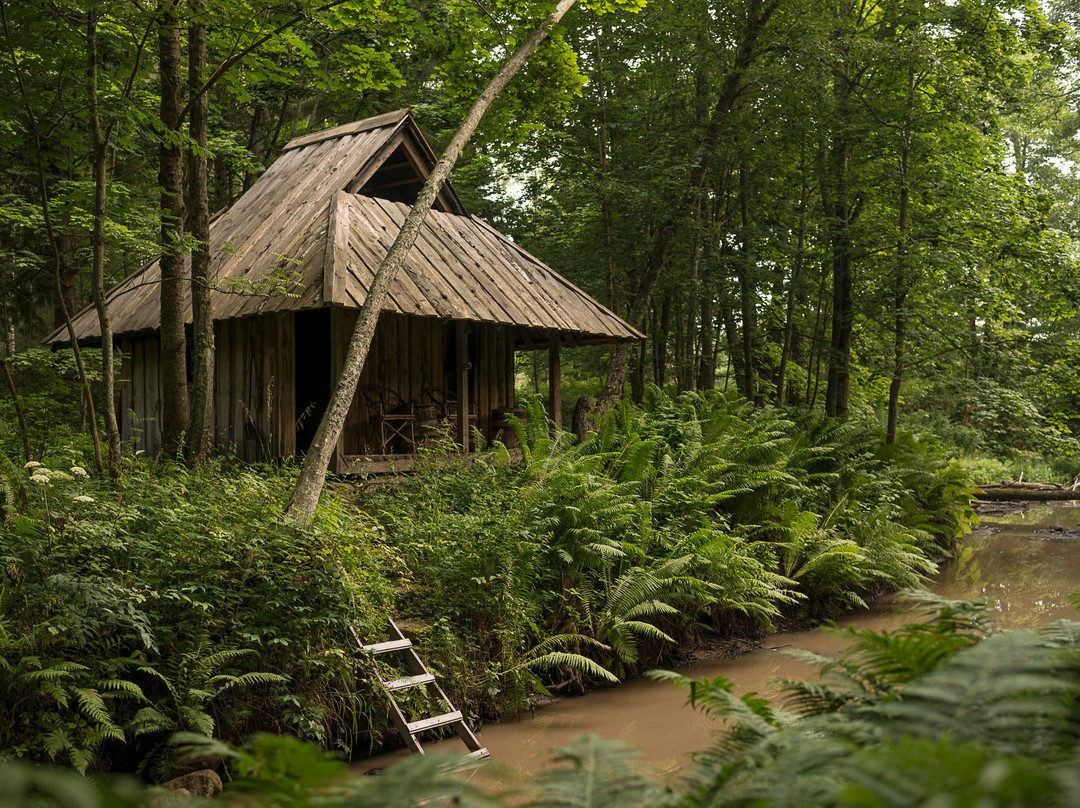 Adami Country Guesthouse主图