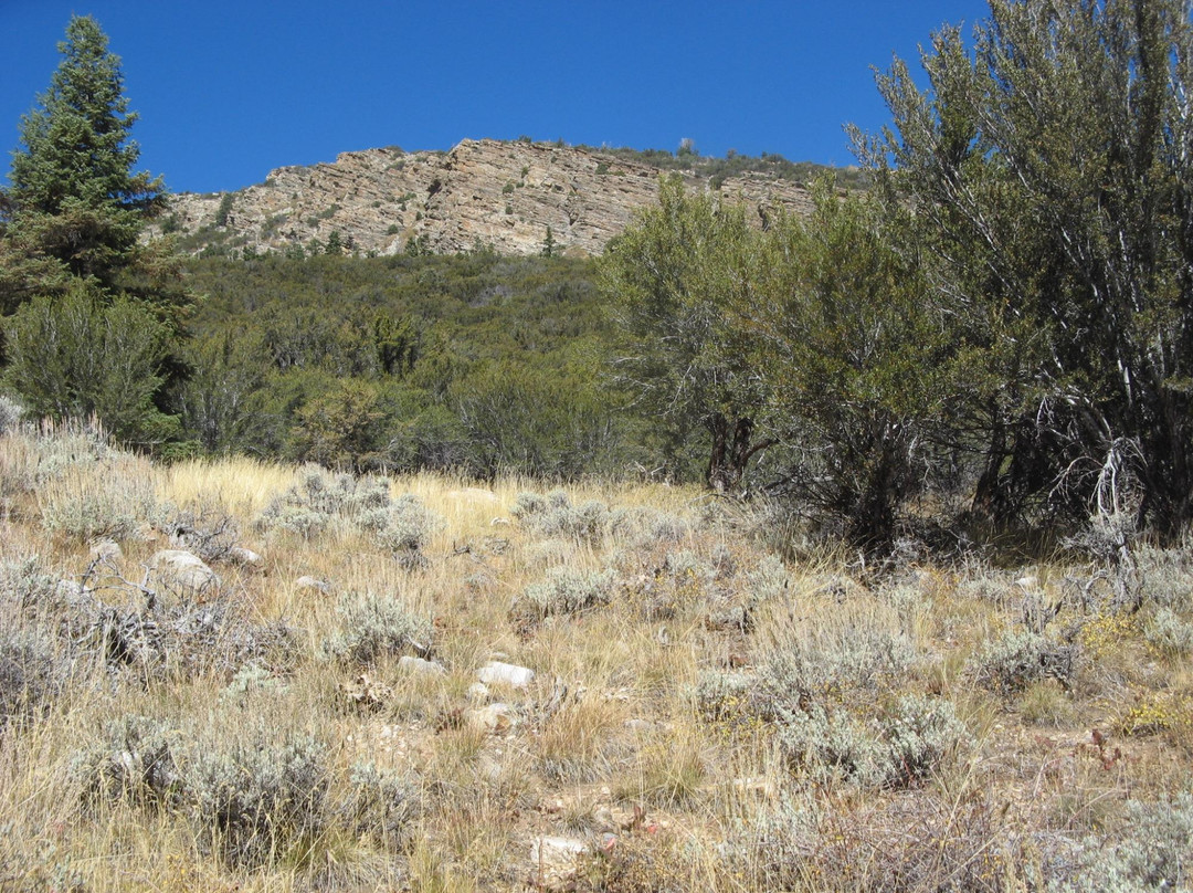 Baker Lake Trail-Great Basin National Park必去景点