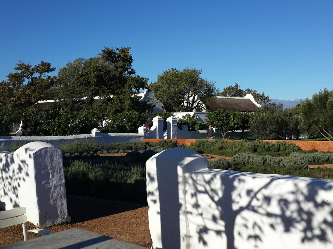 Wow Cape Town Tours-开普敦中心区必去景点