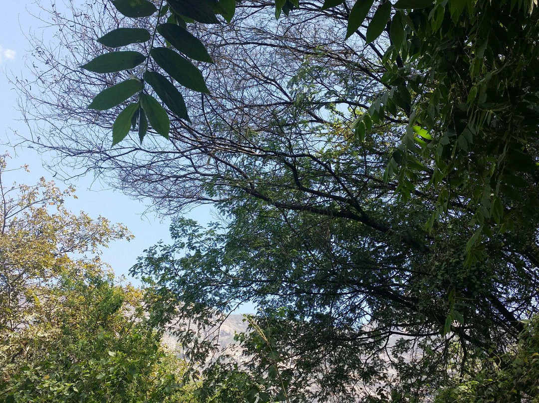 Chaparri Reserve-Chongoyape必去景点