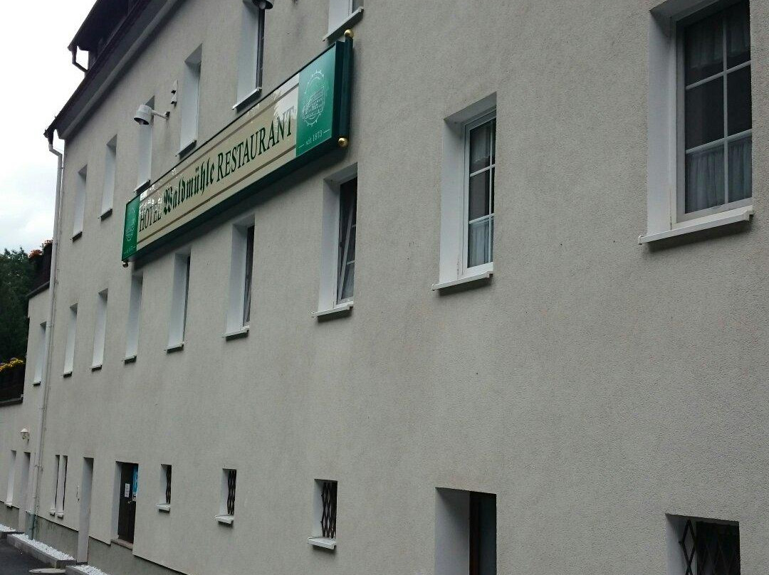 Hotel Waldmuehle主图