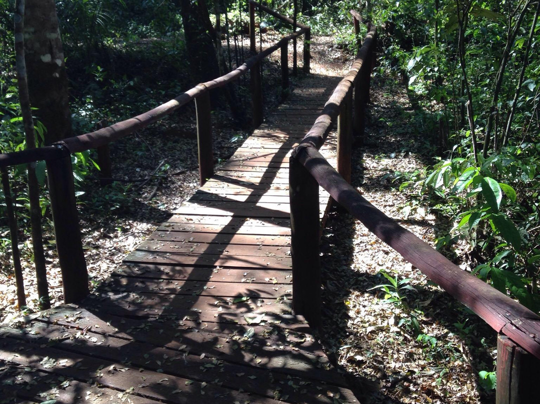 Parque Estadual Vassununga景点图片