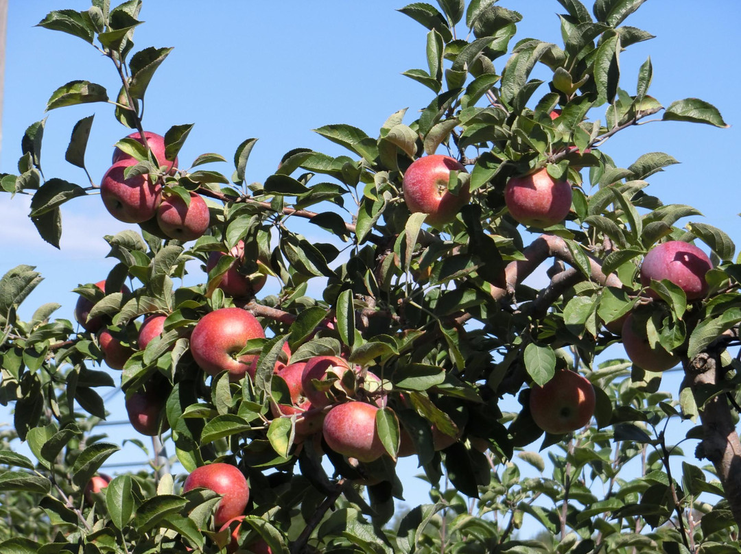 Silverman's Farm-Easton必去景点